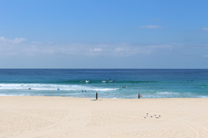 Bondi Beach